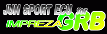 GRB SPORT COMPUTER